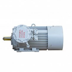 Электродвигатель 2АИМУР 315 L2 У1, 380/660В, класс изоляции F, 1ExdIIBT4 Gb, РТC (статор), подшипники SKF, 315/3000 IM1001