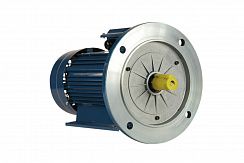 Электродвигатель 5АИ 56 В2 0,25/3000 IM2081