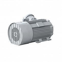 Электродвигатель 2АИМУР 315 М4 У2,5 660/1140В, класс изоляции Н, PBExdI Мb, РТC (статор), подшипники SKF, 250/1500 IM1001