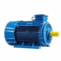 Электродвигатель 5АИ 315 М6 132/1000 IM1001