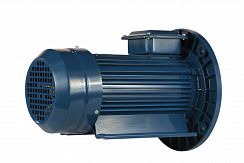 Электродвигатель 5АИ 56 В2 0,25/3000 IM2081
