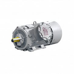 Электродвигатель 2АИМУР 315 М4 У2,5 660/1140В, класс изоляции Н, PBExdI Мb, РТC (статор), подшипники SKF, клеммная коробка слева, 250/1500 IM1001