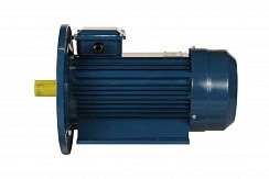 Электродвигатель 5АИ 56 В2 0,25/3000 IM2081