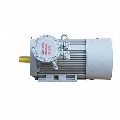 Электродвигатель 2АИМУР 315 М4 У2,5 660/1140В, класс изоляции Н, PBExdI Mb, РТС (статор), стальной фланец, подшипники SKF, 250/1500 IM9701