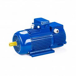 Электродвигатель 5МТН 112-6 5/1000 IM1001