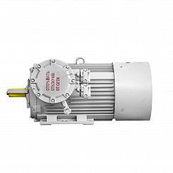 Электродвигатель 2АИМУР 315 М4 У2,5 660/1140В, класс изоляции Н, PBExdI Мb, РТC (статор), подшипники SKF, клеммная коробка слева, 250/1500 IM1001