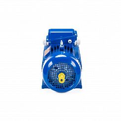 Электродвигатель 5МТН 225 L8 37/750 IM1004