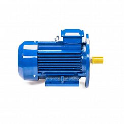 Электродвигатель 5АИ 100 L4 ET 4/1500 IM2081