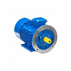 Электродвигатель 5АИ 200 М2 37/3000 IM2001