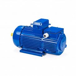 Электродвигатель 5МТН 225 L6 55/1000 IM1003
