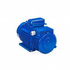 Электродвигатель 5МТН 280 L10 75/600 IM1004