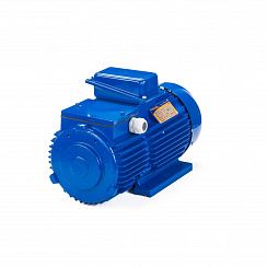 Электродвигатель 5MTH 280 S6 75/955 IM1003