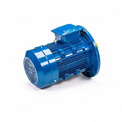 Электродвигатель 5АИ 100 S4 3/1500 IM3081