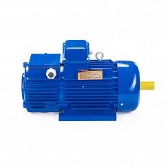 Электродвигатель 5MTH 200 LB8 22/750 IM1003