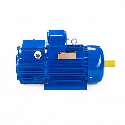 Электродвигатель 5МТН 012-6 2,2/1000 IM1001