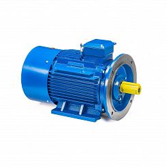 Электродвигатель 5АИ 200 М2 37/3000 IM2001