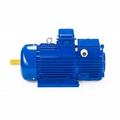 Электродвигатель 5МТН 280 L10 75/600 IM1003