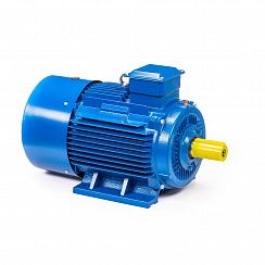 Электродвигатель 5АИ 200 М2 37/3000 IM1001