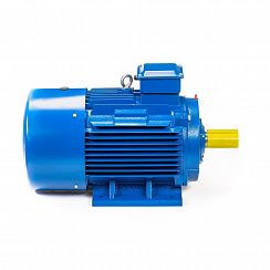 Электродвигатель 5АИ 180 М2 30/3000 IM1001