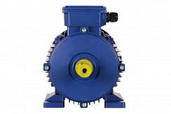 Электродвигатель 5АИ 100 L4 ED 4/1500 IM1081