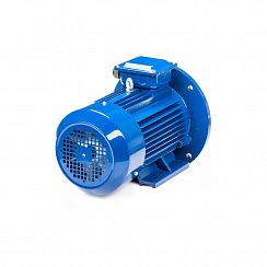 Электродвигатель 5АИ 100 L4 ED 4/1500 IM2081