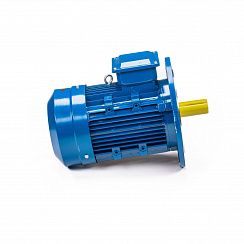 Электродвигатель 5АИ 100 S4 3/1500 IM3081