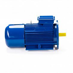Электродвигатель 5АИ 100 L4 ED 4/1500 IM2081
