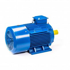 Электродвигатель 5АИ 200 М4 37/1500 IM1001