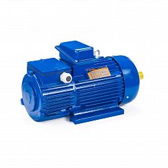 Электродвигатель 5MTH 280 S6 75/955 IM1003