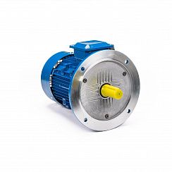 Электродвигатель 5АИ 100 S4 3/1500 IM3081