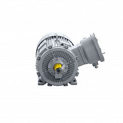 Электродвигатель 2АИМУР 355 М6 У2,5 380/660В, класс изоляции Н, PBExdI Mb, РТС (статор), подшипники SKF, 250/1000 IM1001