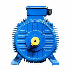 Электродвигатель 5АИ 315 S4 160/1500 IM1001