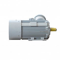 Электродвигатель 2АИМУР 315 М6 У1, 380/660В, класс изоляции F, 1ExdIIBT4 Gb, РТС (статор), подшипники SKF, 160/1000 IM1001