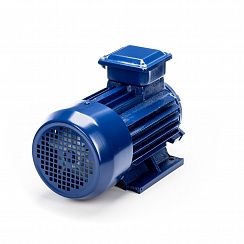 Электродвигатель 5АИ 90 L2 3/3000 IM1081