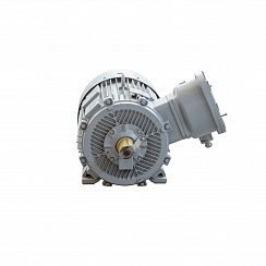 Электродвигатель 2АИМУР 315 L6 У1, 380/660В, класс изоляции F, 1ExdIIBT4 Gb, РТС (статор), подшипники SKF, 200/1000 IM1001