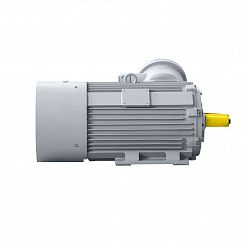 Электродвигатель 2АИМУР 315 М4 У2,5 380/660В, класс изоляции Н, PBExdI Mb, РТC (статор), подшипники SKF 250/1500 IM1001