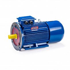 Электродвигатель 5АИ 100 L4 ED 4/1500 IM2081