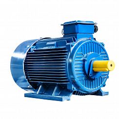 Электродвигатель 5АИ 315 S2 160/3000 IM1001
