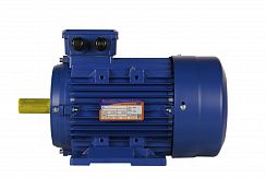 Электродвигатель 5АИ 100 L6 ED 2,2/1000 IM1081