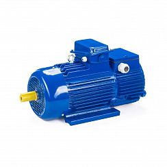 Электродвигатель 5МТН 280 L10 75/600 IM1004